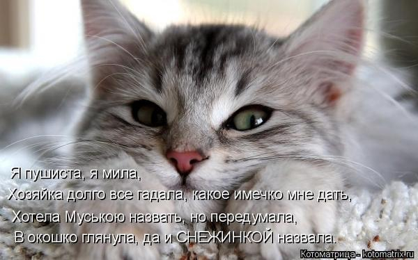 1 (600x374, 160Kb)
