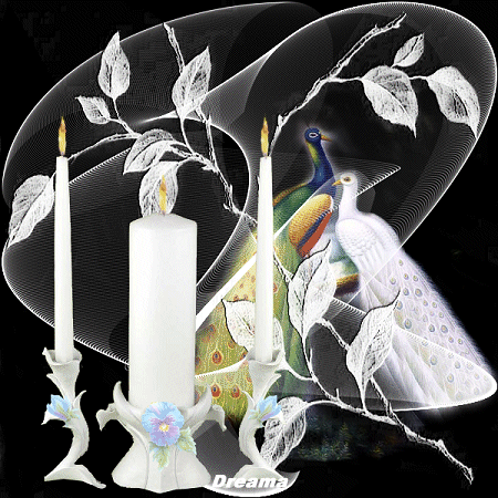 100372194_24032350_18488518_10790123_peacocksycandlesab7my9 (450x450, 136Kb)