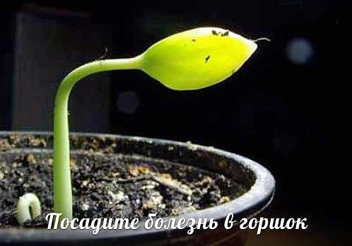  (498x348, 25Kb)