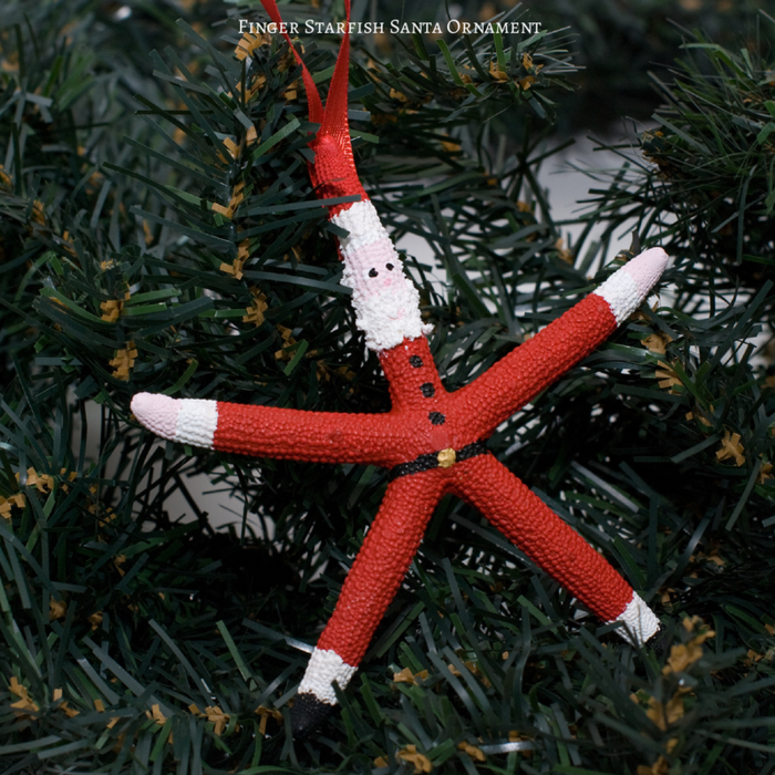 Finger-Starfish-Santa-Ornament (700x700, 921Kb)