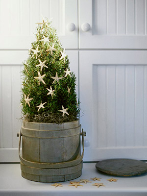 starfish-christmas-tree-pail (300x400, 86Kb)