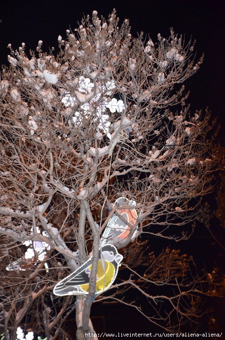 DSC_0850 (463x700, 342Kb)