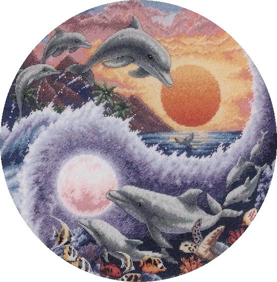 5630023_StitchartSun_and_Moon_Dolphins0 (555x565, 264Kb)