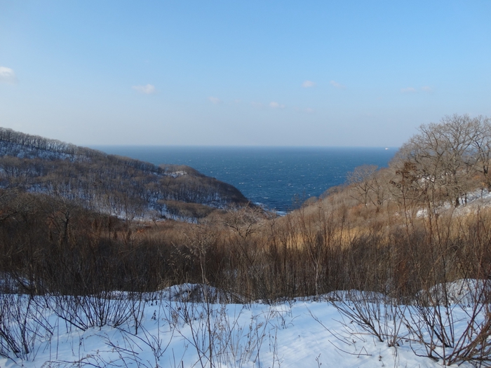 5559494_DSC05876 (700x525, 254Kb)