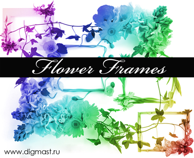 Floral_Frames_by_Lileya (400x325, 134Kb)