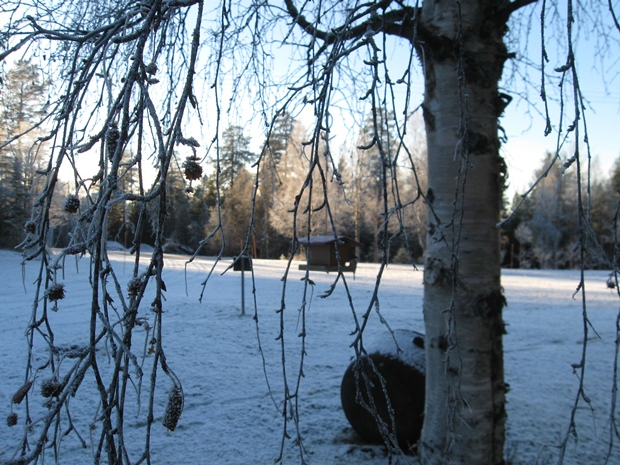 IMG_5668Р¶Р¶ (620x465, 384Kb)