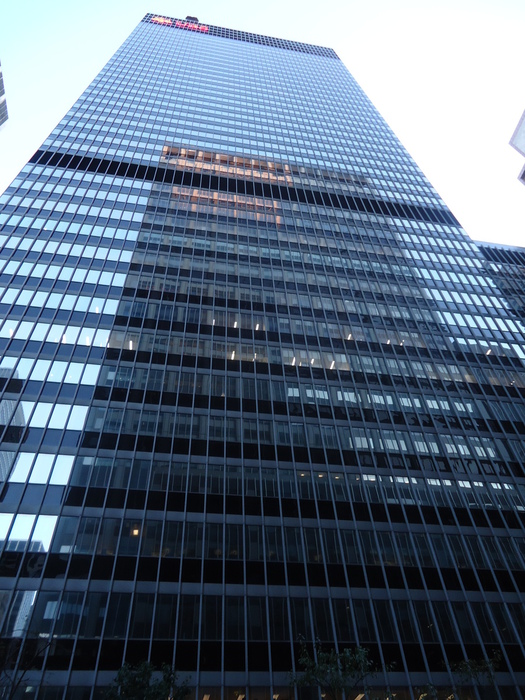 DSC03833 (525x700, 210Kb)