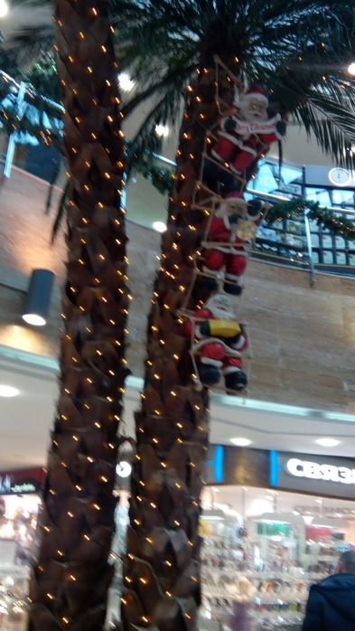 1419177158_IMG_20141214_125035 (393x700, 107Kb)