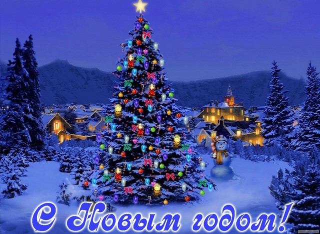 3109898_NG_elka_15 (640x467, 110Kb)