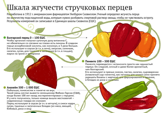 1420207018_2131006_original (700x470, 204Kb)