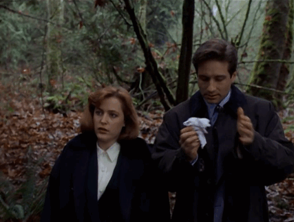 X-files-Фокс-Малдер-Дана-Скалли-гифки-1762600 (427x323, 1923Kb)