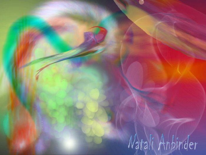 5 (700x525, 314Kb)