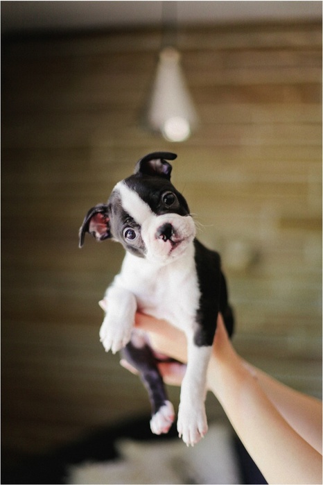 3701408_tumblr_mavxskLV4P1ql5dqto1_1280 (466x700, 77Kb)
