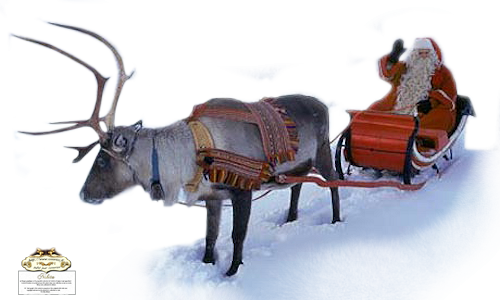 1252518503_noel.png (500x300, 203Kb)