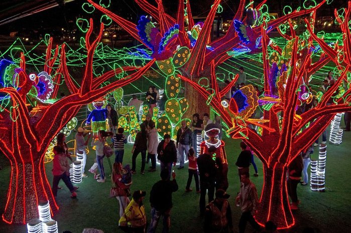 5361707_rojd_illuminac7kolym (700x465, 126Kb)