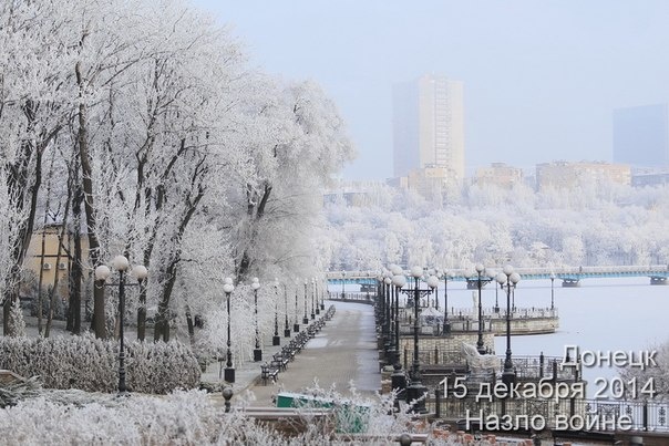 5361707_dondek_2014nazlo_voine8 (604x403, 112Kb)