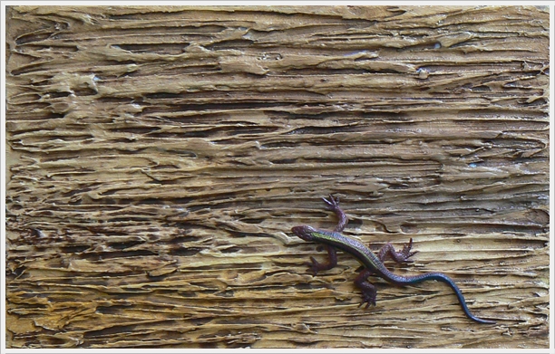 4195696_P1130970 (612x391, 278Kb)