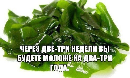5717539_ITfwqrzLYe0 (492x296, 44Kb)