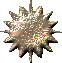 0_6d5ad_ac8fd476_XS (62x63, 2Kb)