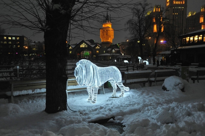 Зимний зоопарк в москве