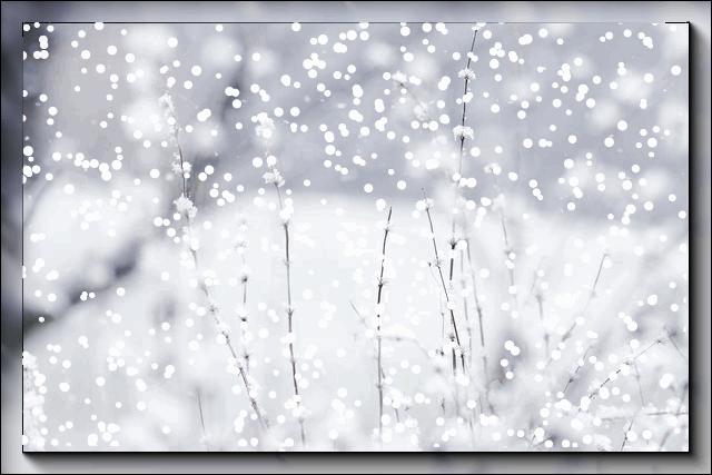 41 (640x427, 2196Kb)