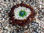  sea-Glass-Beach-Fort-Bragg-California-3 (700x528, 556Kb)