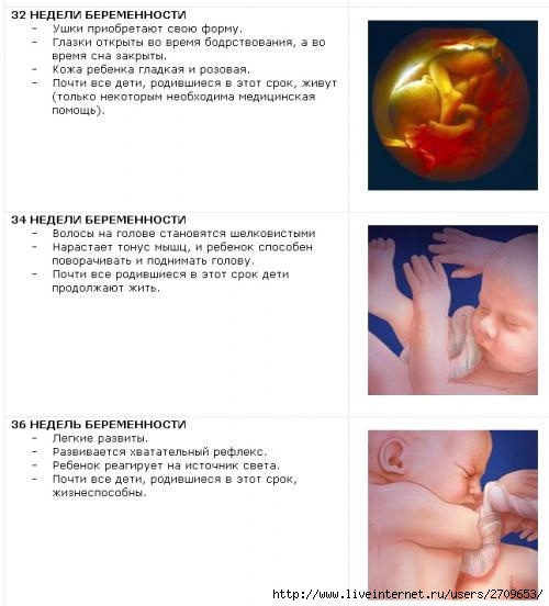 Рождаются какое время. На какой неделе рождаются дети. 9 Недель беременности размер плода. На какой неделе может родиться ребенок. Срок 9 недель беременности размер плода.