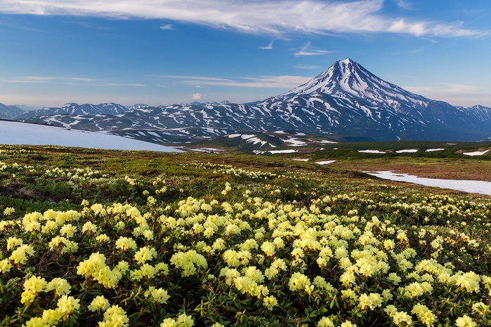 mg_4147_1404858792_full (700x466, 332Kb)