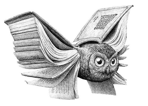 bookowl (500x356, 78Kb)