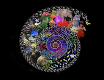 content_axiom_of_spiritual_physics (350x270, 33Kb)
