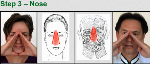 Facial Detox Massage3 (500x214, 86Kb)