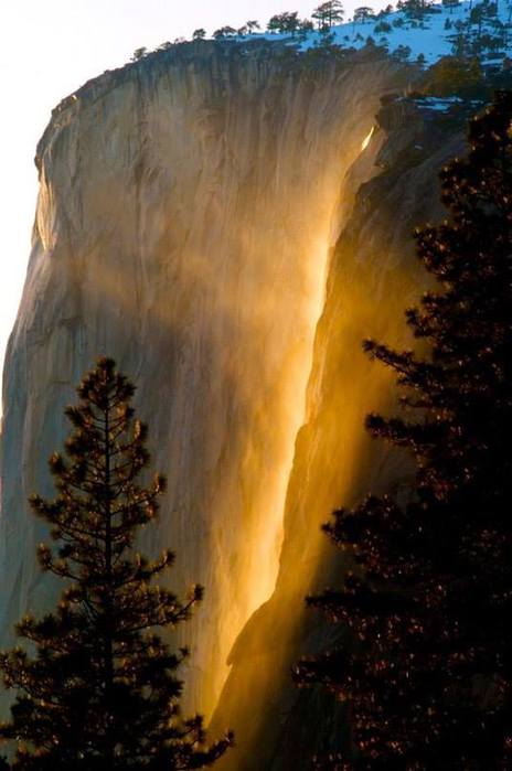 10917340_933777433313290_920537686157844362_n (464x700, 38Kb)