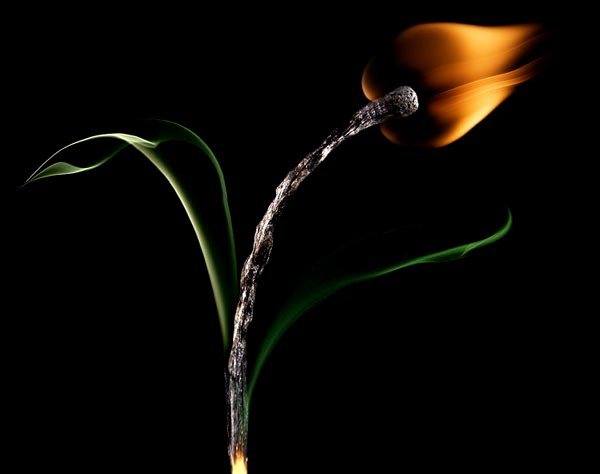 burning-matchstick (600x474, 65Kb)