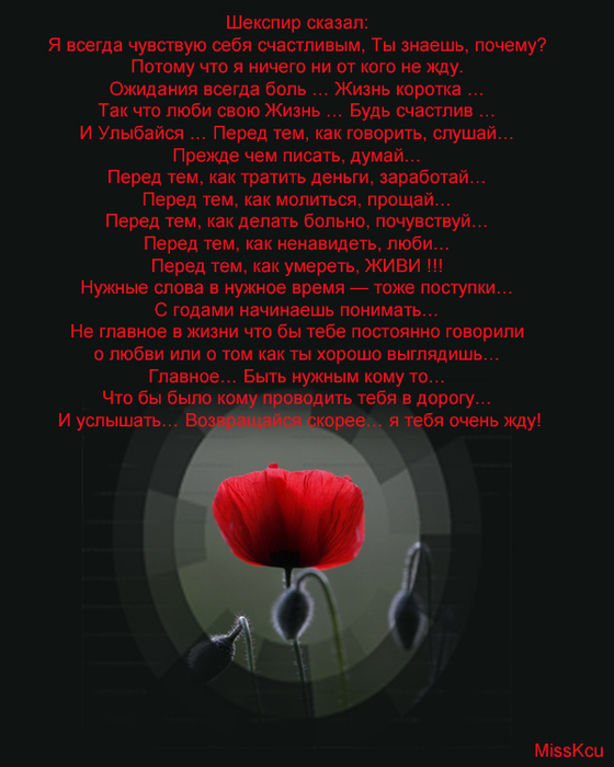 Я чувствую я всегда чувствую. Шекспир сказал. Шекспир сказал я всегда чувствую. Шекспир я всегда чувствую себя счастливым. Шекспир сказал я чувствую себя счастливым.