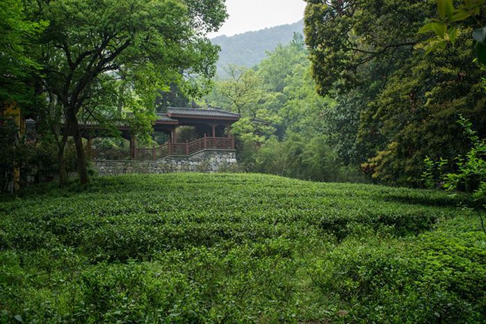 Hangzhou_04 (700x466, 100Kb)