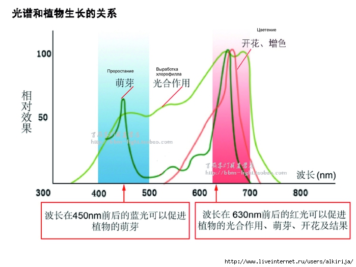 Влияние спектра света на растения50 (700x524, 142Kb)