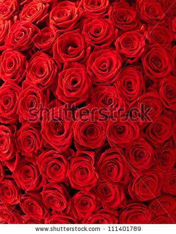 stock-photo-plenty-red-natural-roses-background-111401789 (354x470, 262Kb)