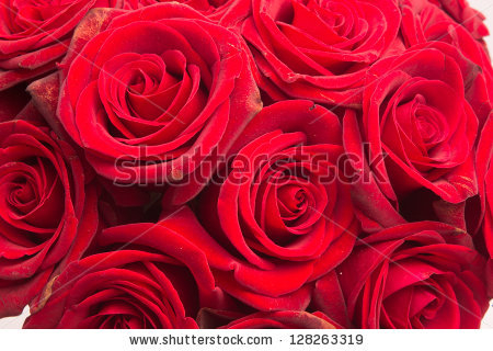 stock-photo-red-rose-red-roses-128263319 (450x320, 175Kb)