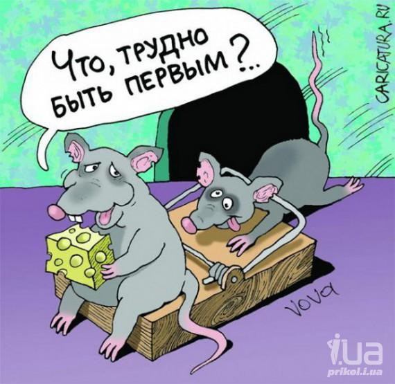 https://img0.liveinternet.ru/images/attach/c/0/119/681/119681114_big_751945_878719.jpg