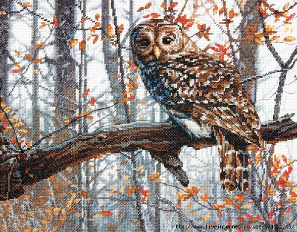 Stitchart-Wise-Owl0 (600x468, 367Kb)