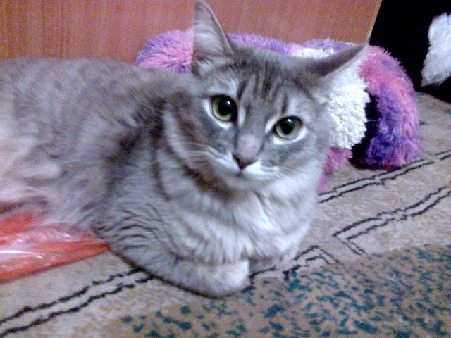20141229-011 (640x480, 80Kb)