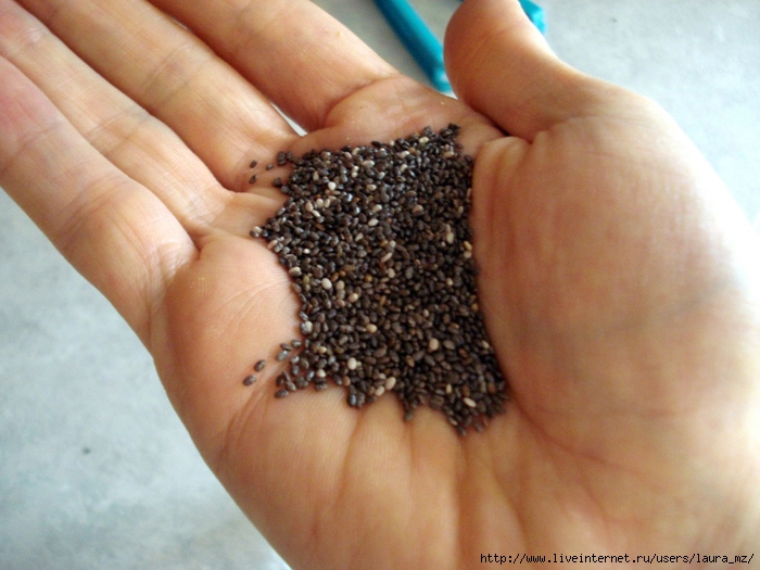 chia-seeds-photo-1024x768 (700x525, 252Kb)