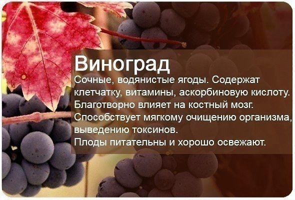 getImage4 (590x400, 144Kb)