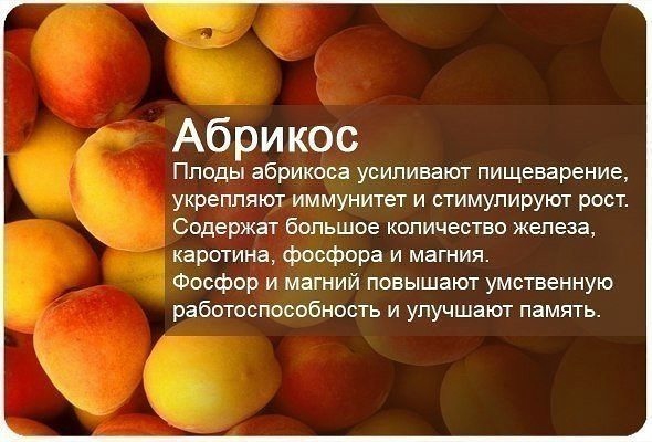 getImage8 (590x400, 132Kb)