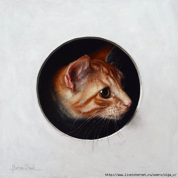 Marina-Dieul_Chat-I_oil_8x8_web (600x600, 124Kb)