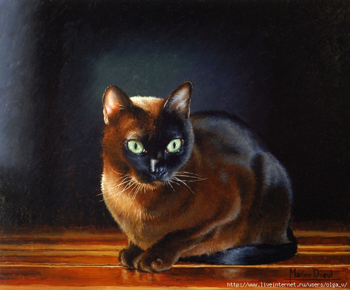 Marina-Dieul_Chat_Oil-on-panel_7x8_web_modifié-1 (700x580, 198Kb)