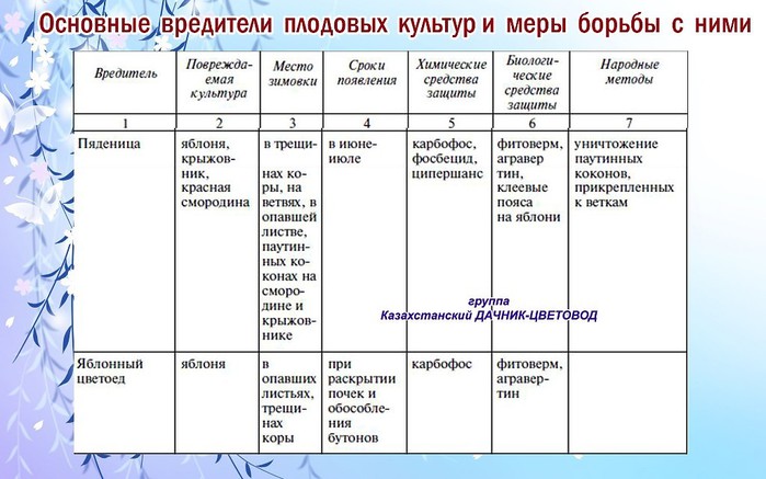 Основные вредители и болезни овощных культур и меры борьбы с ними