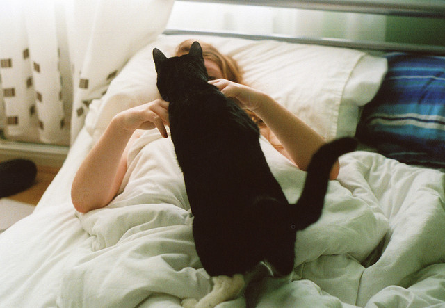 4733321_bedblackcatcuteFavim_com538591 (640x443, 80Kb)