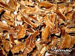 Перегородки грецких орехов для лечения поджелудочной железы thumbnail