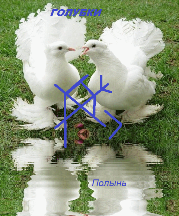 96920819_large_1359708729_19553739212 (578x699, 835Kb)